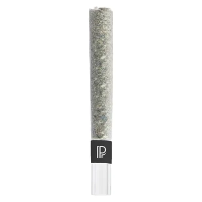 Pink Goo Bubble Hash Infused Pre-Roll