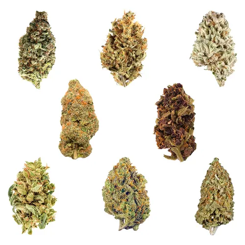 Dankmas Feast Variety Oz Dankmas Feast Variety Oz