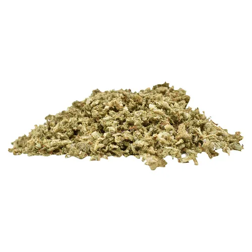 INDICA 20 PLUS