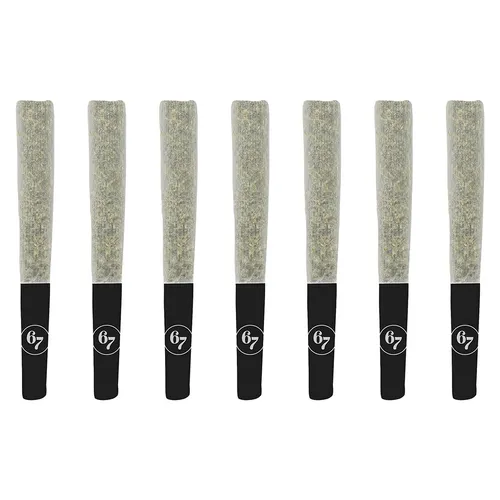 Sixty Seven Sins - Gas Face Pre-Roll - Gas Face Pre-Roll 7x0.5g Pre-Rolls Sixty Seven Sins - Gas Face Pre-Roll - Gas Face Pre-Roll 7x0.5g Pre-Rolls