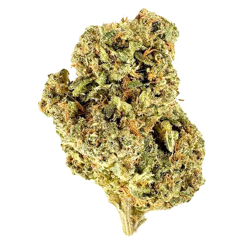 Laundry Loopz (Crumbled Lime x Kush Cookies) Laundry Loopz (Crumbled Lime x Kush Cookies)