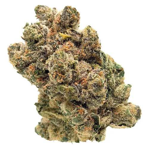 Clockwork Orange (Agent Orange x Sunset Sherbet) Clockwork Orange (Agent Orange x Sunset Sherbet)