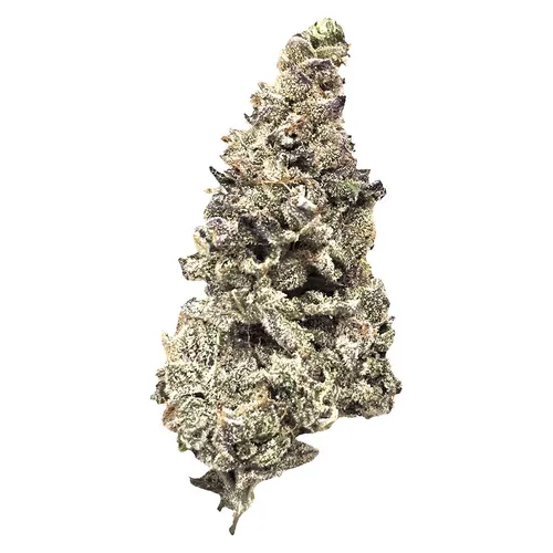 FLHIGH - Lex Luthor