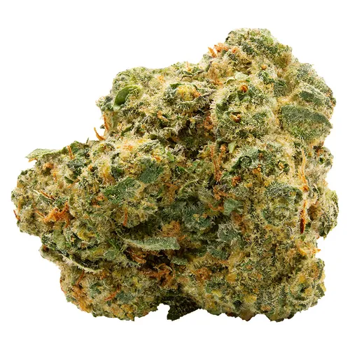 Spinach - Blue Thai - 3.5g