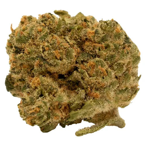 Tweed Chemsicle Dried Flower