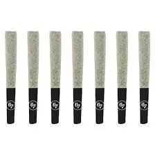 Gas Face Pre-Roll
