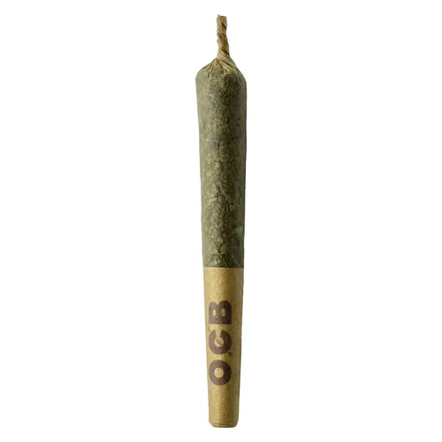 SHEEESH!- Dubb Buubs Cured Resin Infused PR 3x0.5g SHEEESH!- Dubb Buubs Cured Resin Infused PR 3x0.5g