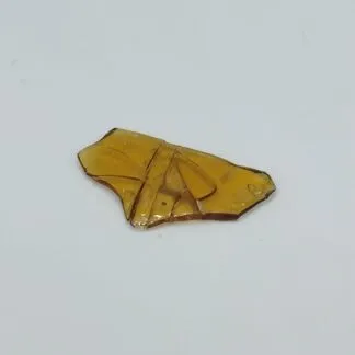 WESTERN CANNABIS Western House Shatter 1g WESTERN CANNABIS Western House Shatter 1g