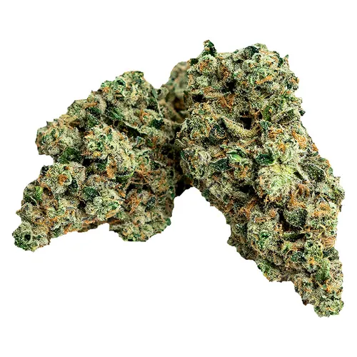Strains Limited - First Class Gas - First Class Gas 7g Dried Flower