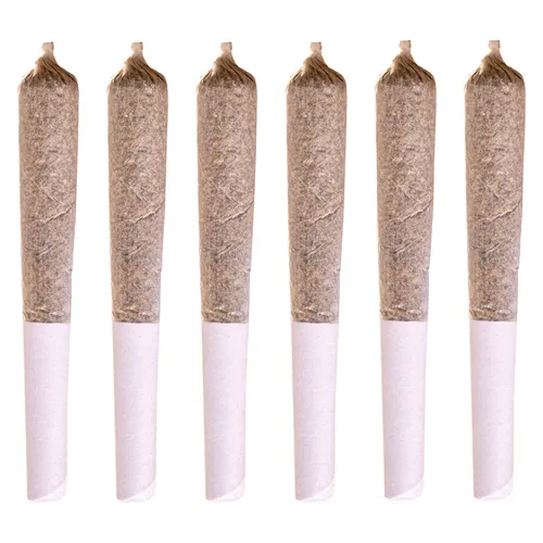 Station House Jack Herer Pre Rolls