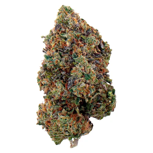 Candy Fumez (Sherbanger 22 x Zkittlez) Candy Fumez (Sherbanger 22 x Zkittlez)