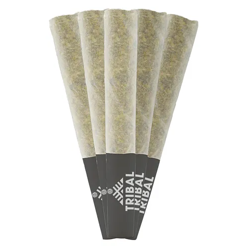 Gran Turismo (Motorbreath x Lemon Cherry Gelato) | 5x0.5g Gran Turismo (Motorbreath x Lemon Cherry Gelato) | 5x0.5g