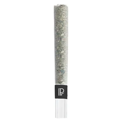 Lindsay OG Bubble Hash Infused Pre-Roll