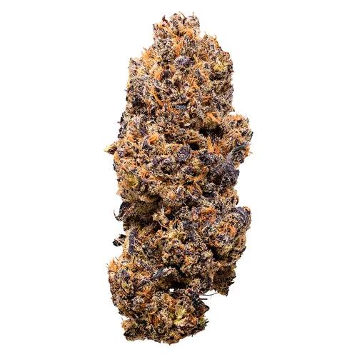 Lemon Whips Dried Flower