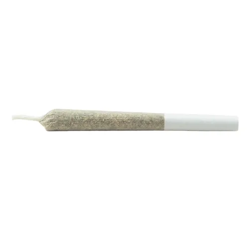 Indica Js Pre-Roll