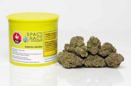 SPACE RACE Galactic Garden (Sunshine Kush) 14g SPACE RACE Galactic Garden (Sunshine Kush) 14g