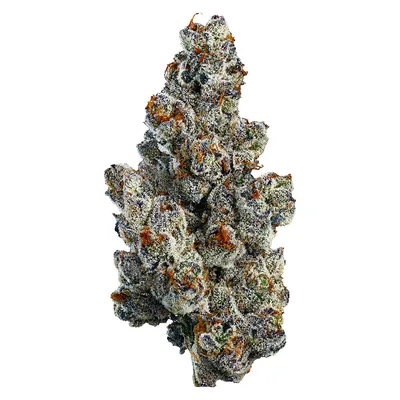 Organic Bling Blaow Craft Flower