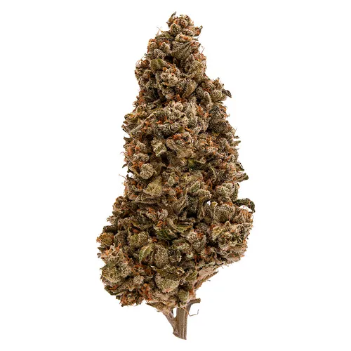 Fuga - Strawberry Pave LSO - 3.5g(Terpenes-2.17%)