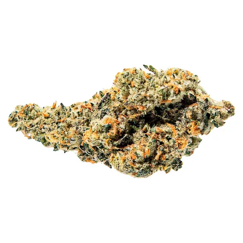 True Fire - Tropical Meltdown - Tropical Meltdown 3.5g Dried Flower True Fire - Tropical Meltdown - Tropical Meltdown 3.5g Dried Flower