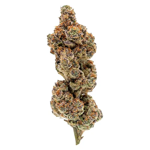OVERTIME - Punch Out - Punch Out 3.5g Dried Flower OVERTIME - Punch Out - Punch Out 3.5g Dried Flower