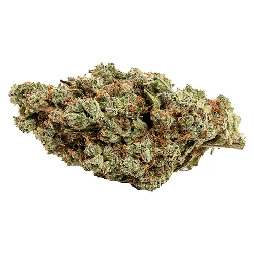 Couch Potato (Blue Gelato)