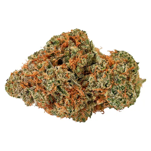 Moby Dick 3.5g Dried Flower