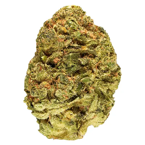 Melon Dream Flower