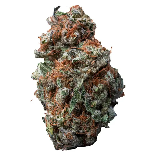 Palmetto - Sasquatch Sap - Sasquatch Sap 3.5g Dried Flower Palmetto - Sasquatch Sap - Sasquatch Sap 3.5g Dried Flower
