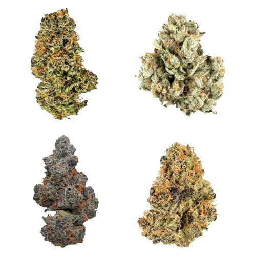 Potluck - Canada Collection Variety Ounce - Canada Collection Variety Ounce 28g Dried Flower