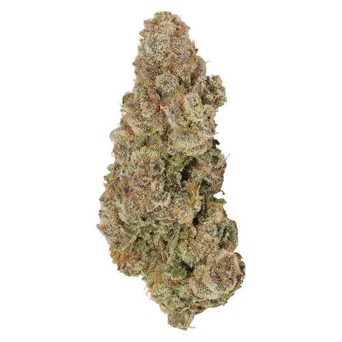 Carmel - Envy - Envy 3.5g Dried Flower Carmel - Envy - Envy 3.5g Dried Flower