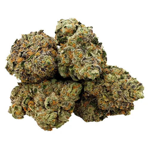Cannabis Carter Quads - Jordan X Cannabis Carter Quads - Jordan X