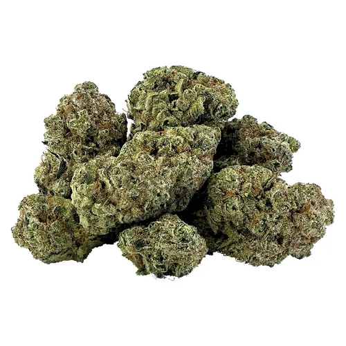 Carmelita (Cream D'Mint x Grease Monkey)