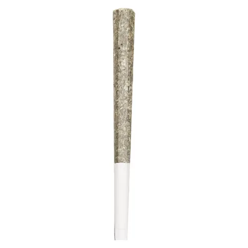 Royal One - Vault Series Pre-Roll (Z City)