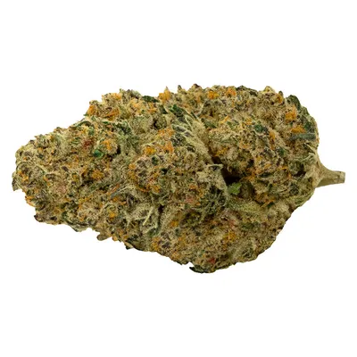 Cherry Tang