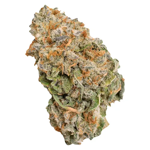 Indica