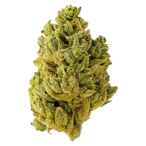 Pacific OG Flower