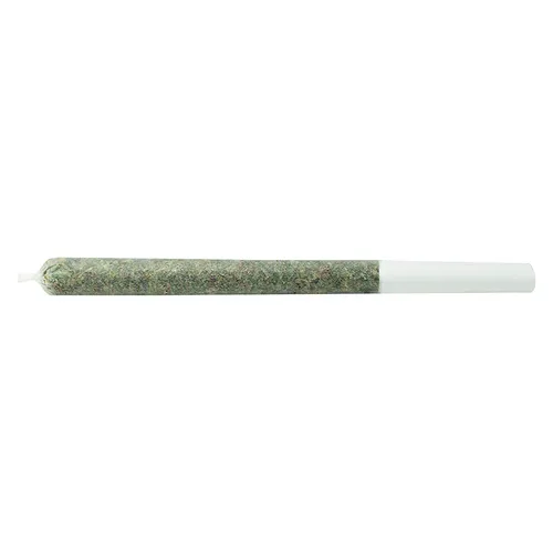 The Jeffrey Pre-Roll