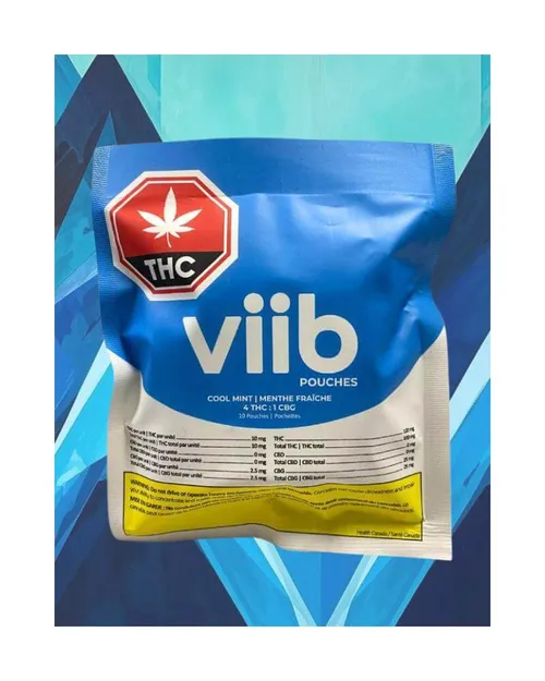 Viib Pouches - Cool Mint 4 THC :1 CBG 10 Pouches