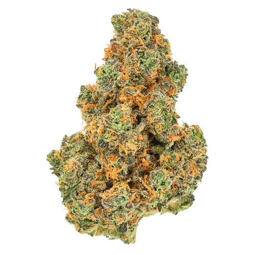 San Rafael '71 - Pink Diesel - Pink Diesel '71 3.5g Dried Flower San Rafael '71 - Pink Diesel - Pink Diesel '71 3.5g Dried Flower
