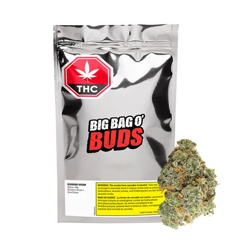 Blueberry Dream