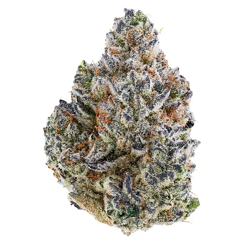 Bubble Up Flower