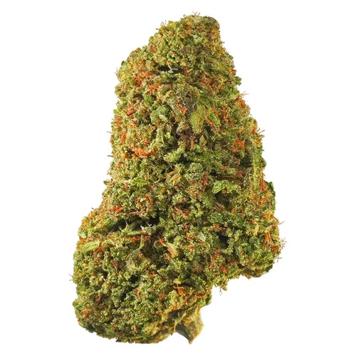 1964 - Tropicanna - Tropicanna 7g Dried Flower 1964 - Tropicanna - Tropicanna 7g Dried Flower