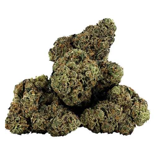 Zhampayne (Blue Nerds x Pavé)