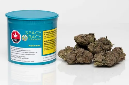 SPACE RACE Multiverse Variant Strain (BC Sweet Tooth) 14g SPACE RACE Multiverse Variant Strain (BC Sweet Tooth) 14g