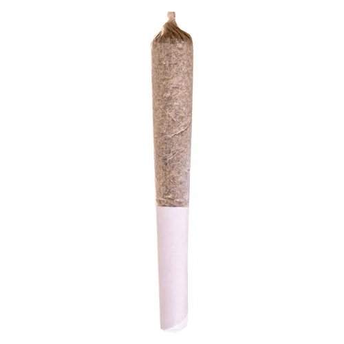 Potluck - Mac & Cheese Pre-Roll - 1x0.5g Potluck - Mac & Cheese Pre-Roll - 1x0.5g