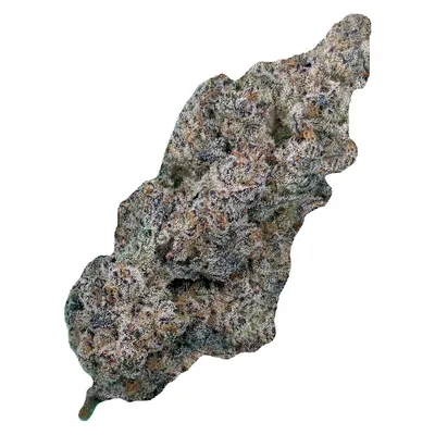 Truffaloha