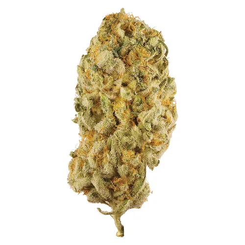 Station House - Jack Herer - 3.5g