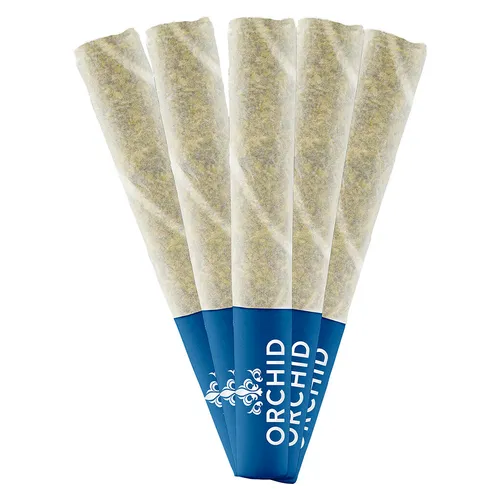 Orchid CBD - Jean Guy CBD Pre-Roll - Jean Guy CBD Pre-Roll 5x0.5g Pre-Rolls