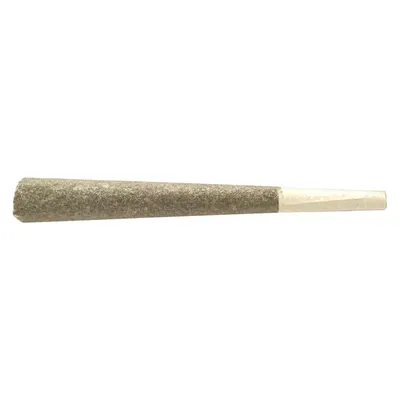 Jealousy Pre-Rolls