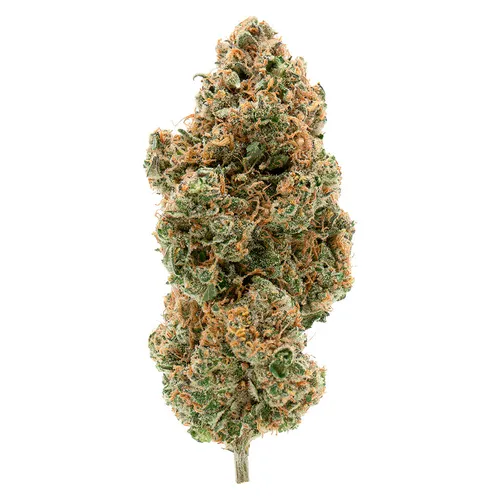 BC Organic Tangerine Sunrise